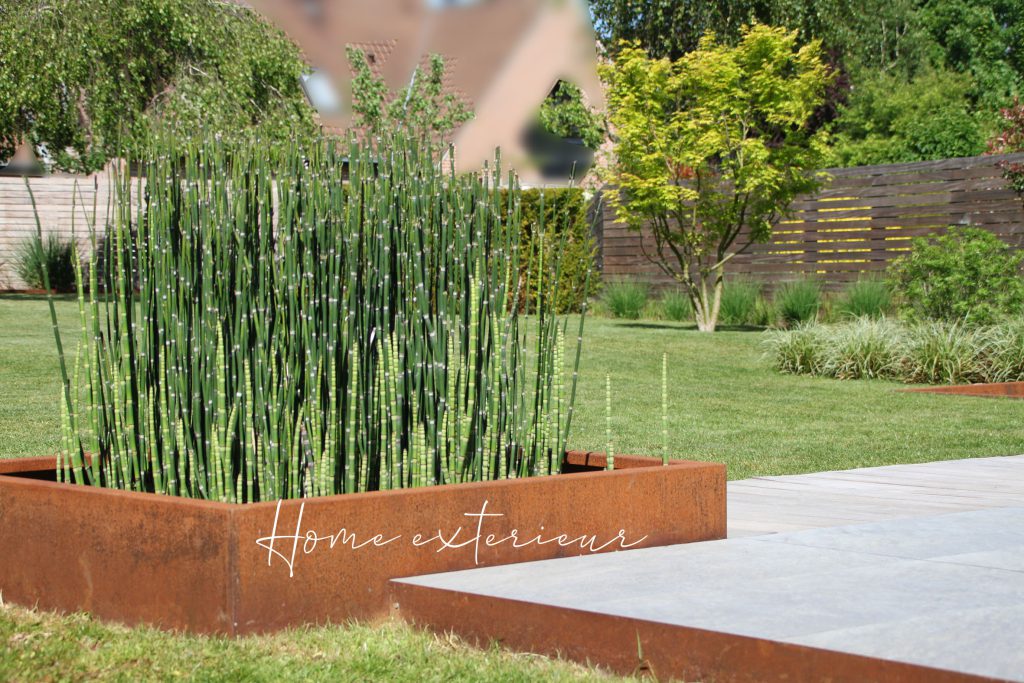 Création d’un jardin contemporain avec acier corten à Villeneuve d’Ascq
