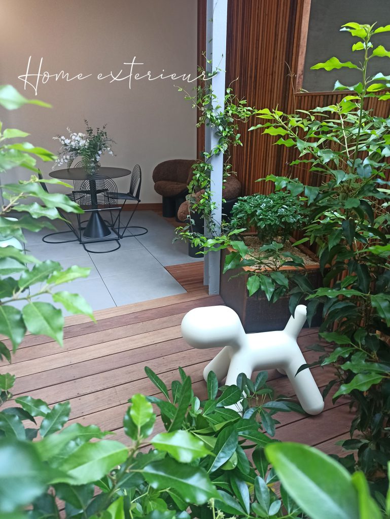 Intimiser une cour design dans le Vieux-Lille