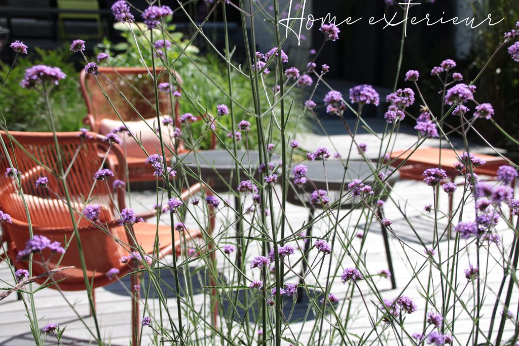 Aménagement d’un jardin long et étroit à Lambersart