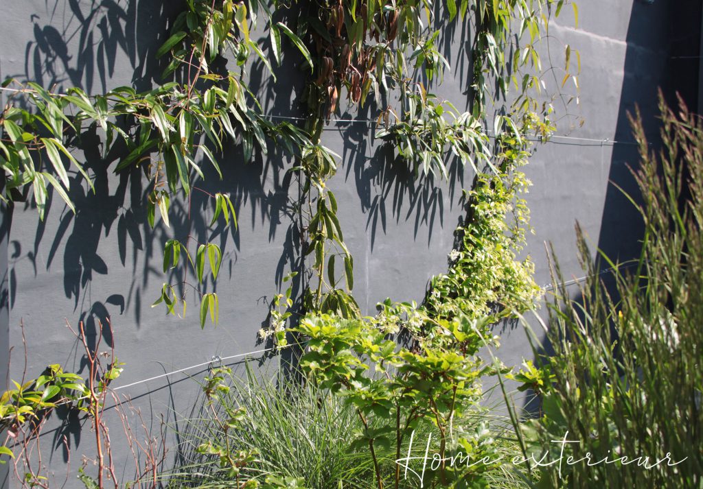 Aménagement d’un petit jardin de moins de 100m2 à Marcq-en-Baroeul