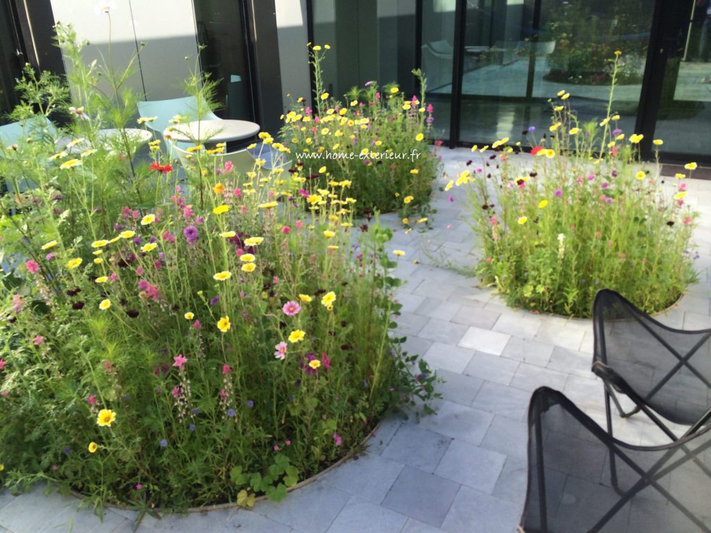 Aménagement d’un jardin/patio paysager à Croix