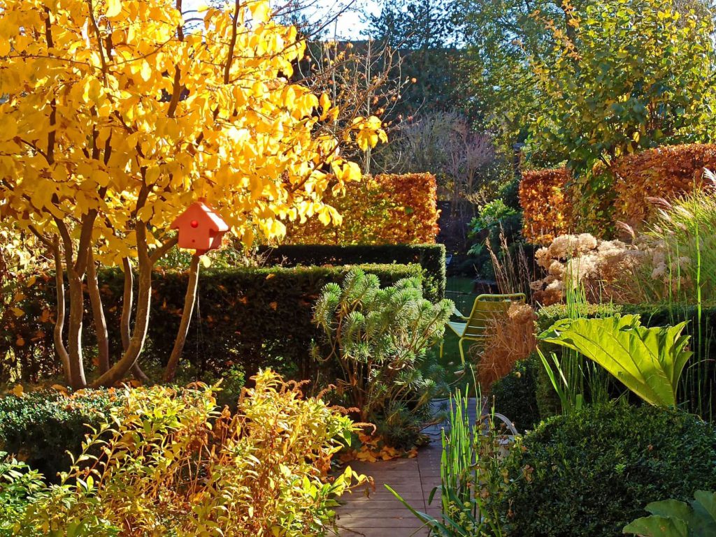 Conception originale d’un jardin long d’une maison 1930 à Lambersart