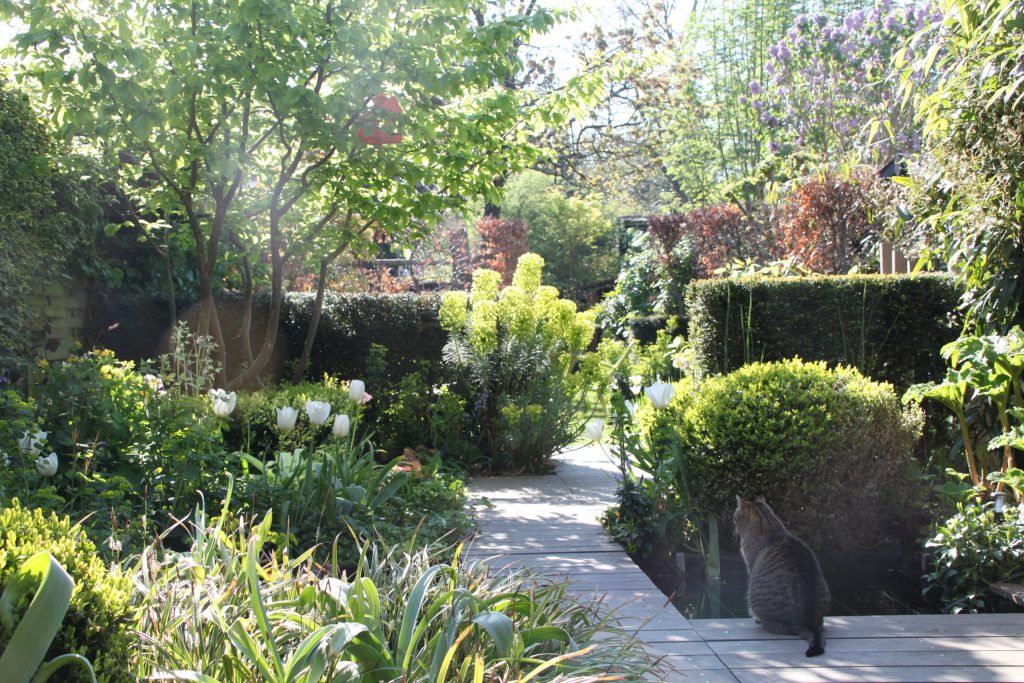 Conception originale d’un jardin long d’une maison 1930 à Lambersart