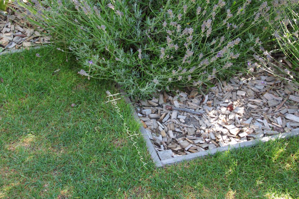 Aménagement d’un jardin de maison bel étage à Lambersart