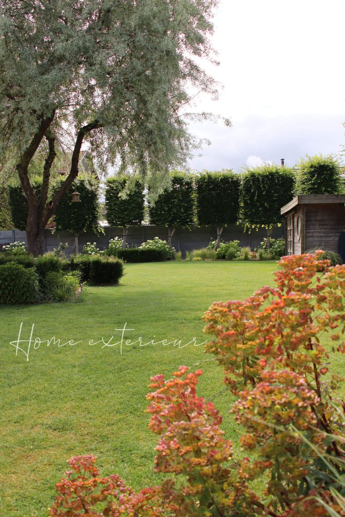 Conception et aménagement d’un jardin avec piscine, spa et pergola bioclimatique dans le Cambrésis