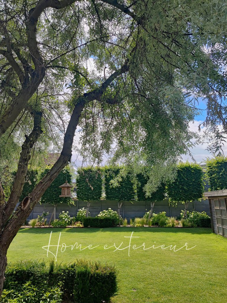 Conception et aménagement d’un jardin avec piscine, spa et pergola bioclimatique dans le Cambrésis