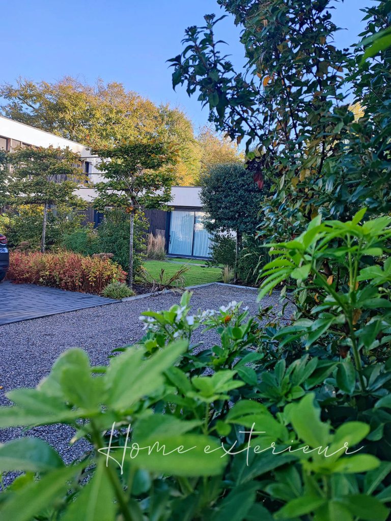 Conception d’un grand jardin/patio à Lambersart