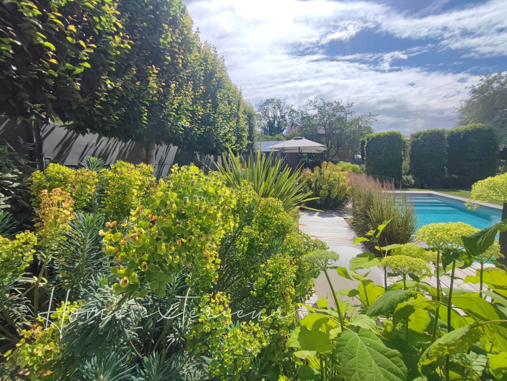 Conception et aménagement d’un jardin avec piscine, spa et pergola bioclimatique dans le Cambrésis