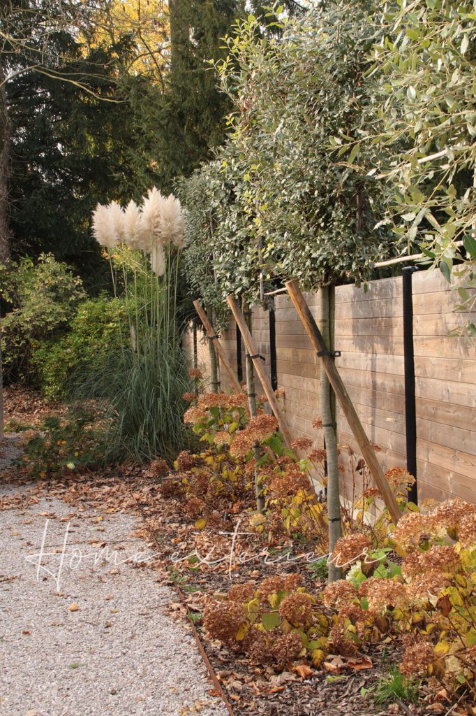 Aménagement d’un jardin autour d’une maison contemporaine à Lambersart
