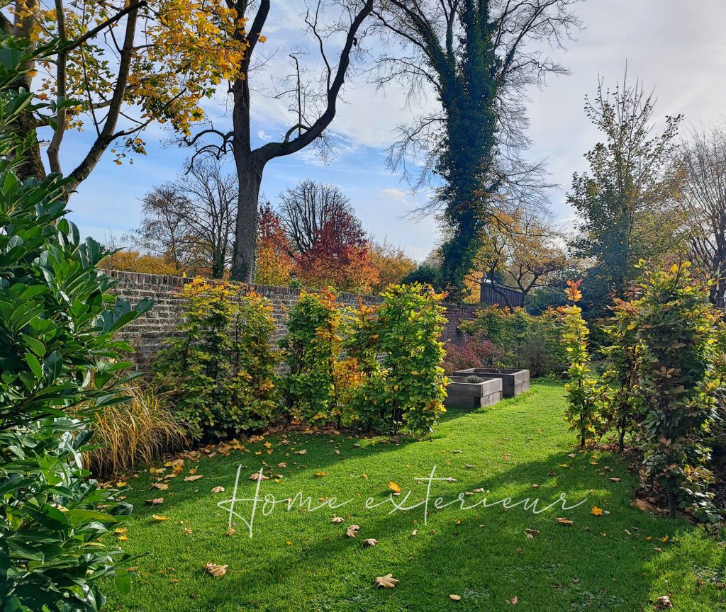 Aménagement d’un jardin autour d’une maison contemporaine à Lambersart