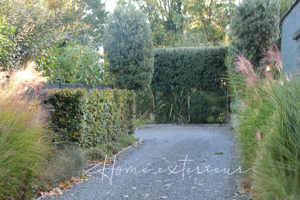 Conception d’un grand jardin/patio à Lambersart
