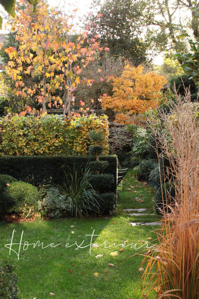 Conception originale d’un jardin long d’une maison 1930 à Lambersart