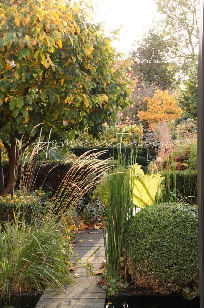 Conception originale d’un jardin long d’une maison 1930 à Lambersart