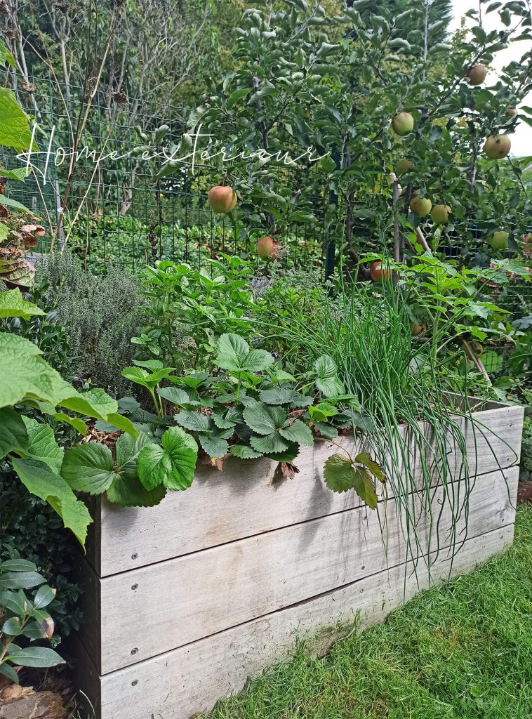 Conception originale d’un jardin long d’une maison 1930 à Lambersart