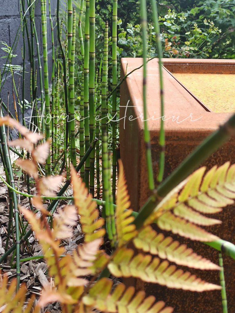Conception d’un petit jardin original avec table d’eau corten à Lambersart