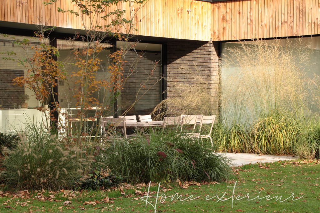 Aménagement d’un jardin autour d’une maison contemporaine à Lambersart