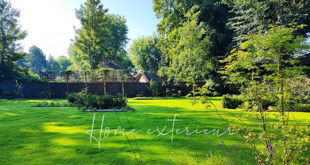 Aménagement d’un jardin autour d’une maison contemporaine à Lambersart