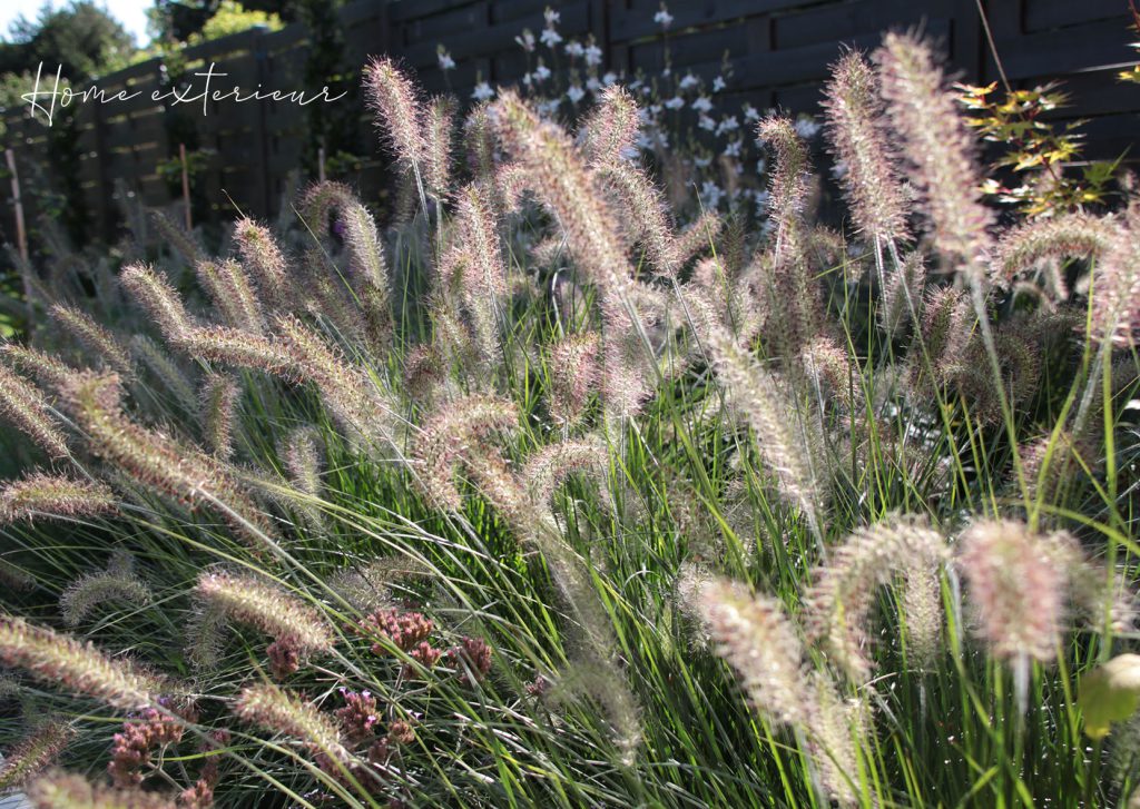 Conception d’un jardin long et légèrement en pente à Mouvaux
